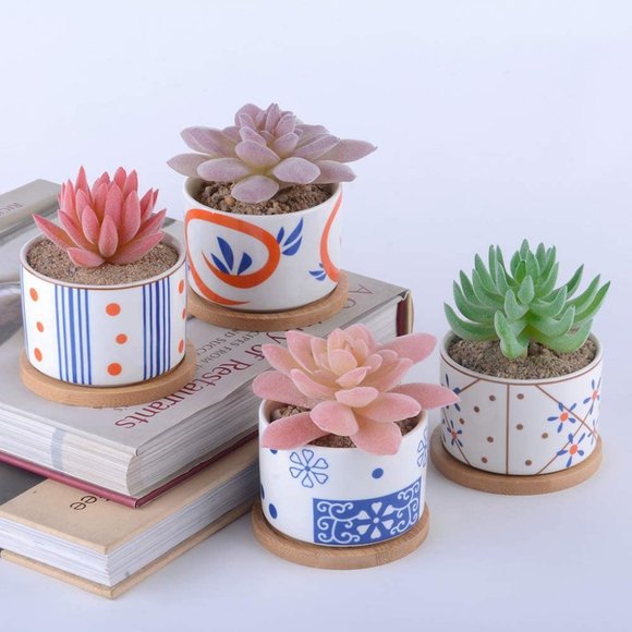 4 Ceramic Planters for Cactus Succulent with Drainage Hole & Bamboo Saucers 3" - Picture 2 of 6